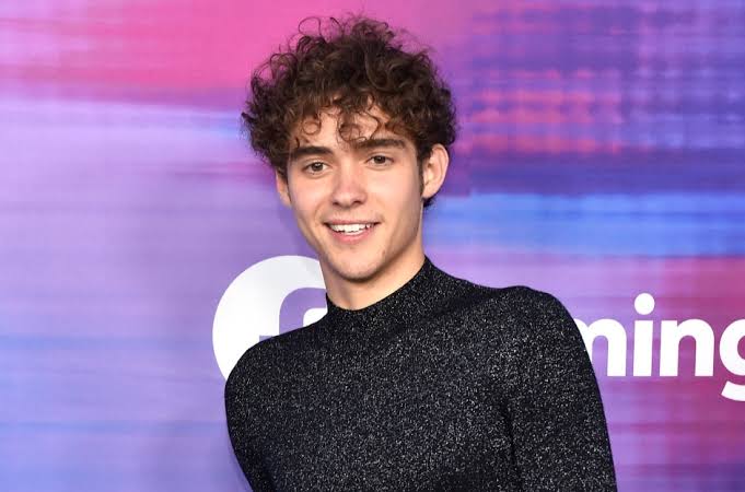 Joshua Bassett Weight Net Worth Age Height Bio Parents Is Joshua Bassett Gay